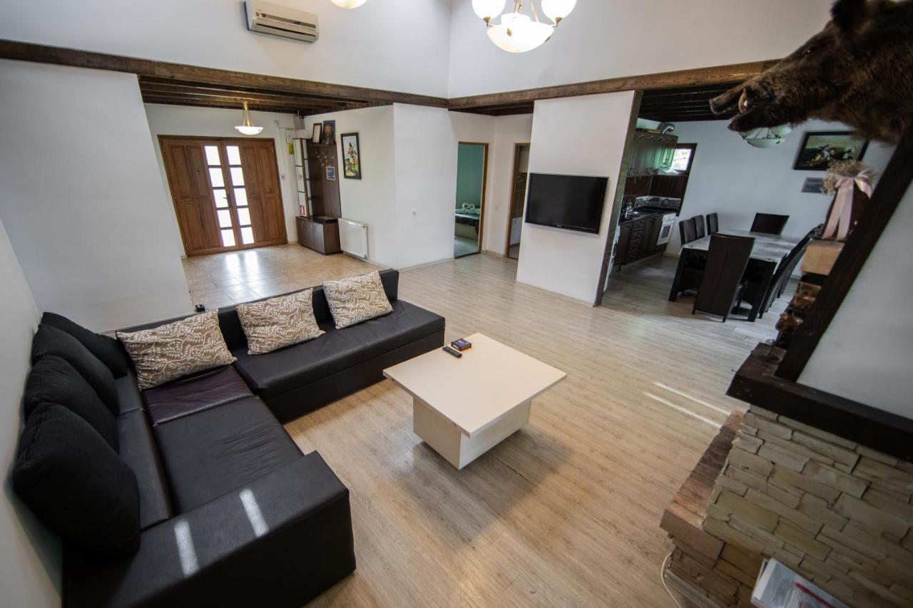 Casa Arcadia 1 Piscina,Jacuzzi, Sauna Buzău Exterior foto