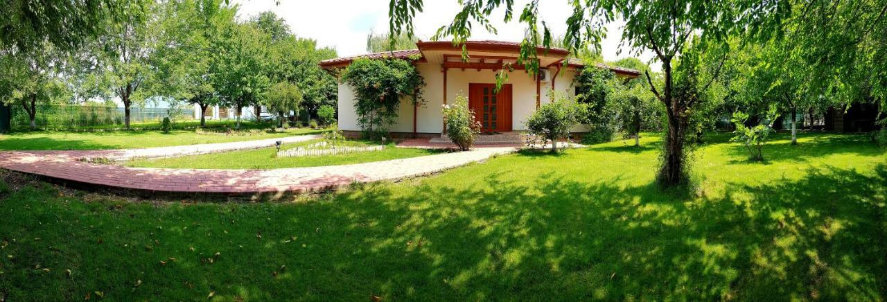Casa Arcadia 1 Piscina,Jacuzzi, Sauna Buzău Exterior foto